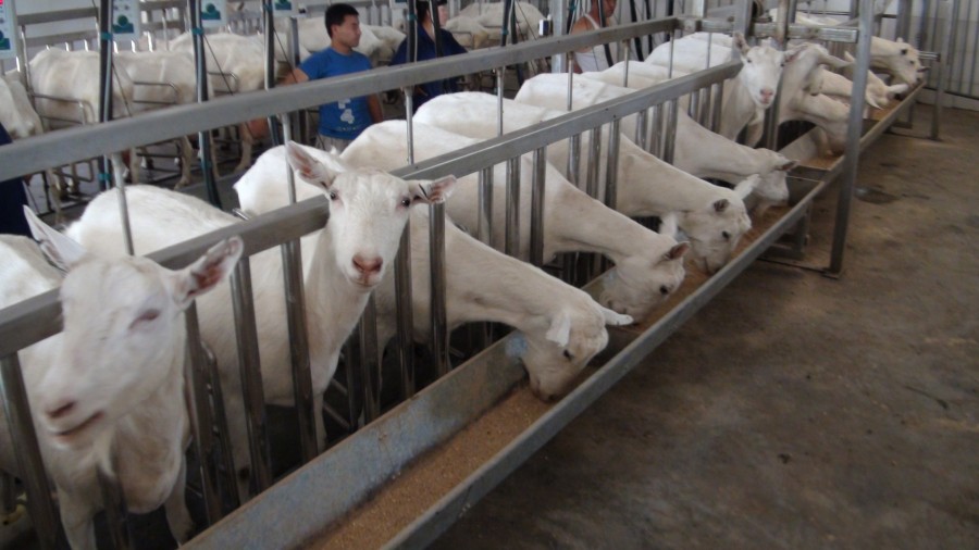 UG����(�й���)�ٷ���վ