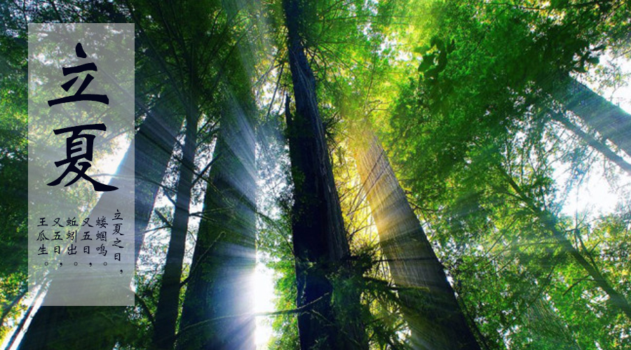 UG����(�й���)�ٷ���վ