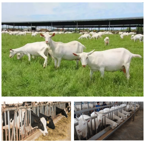 UG����(�й���)�ٷ���վ