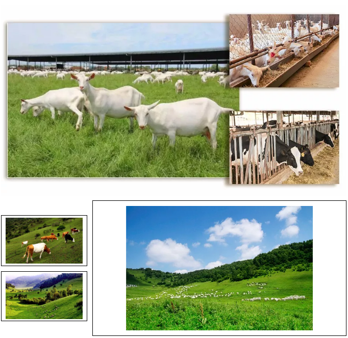 UG����(�й���)�ٷ���վ