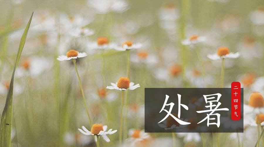 UG����(�й���)�ٷ���վ