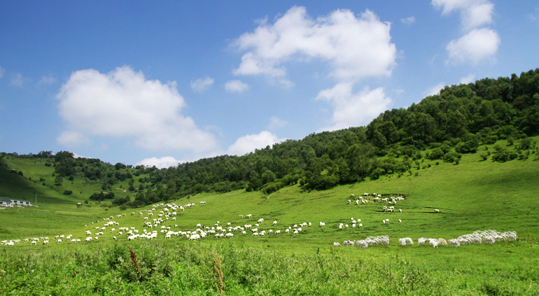 UG环球·(中国区)官方网站