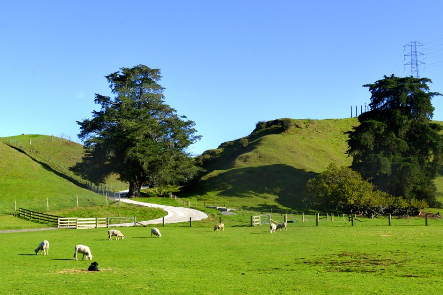 UG����(�й���)�ٷ���վ