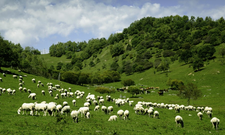 UG����(�й���)�ٷ���վ