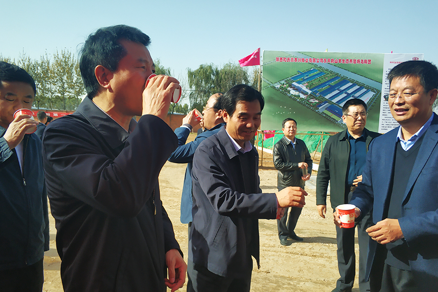 UG����(�й���)�ٷ���վ