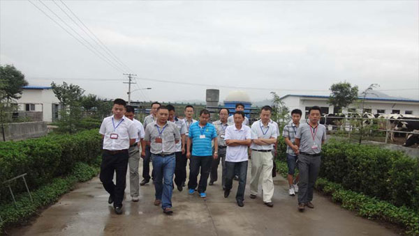 UG����(�й���)�ٷ���վ