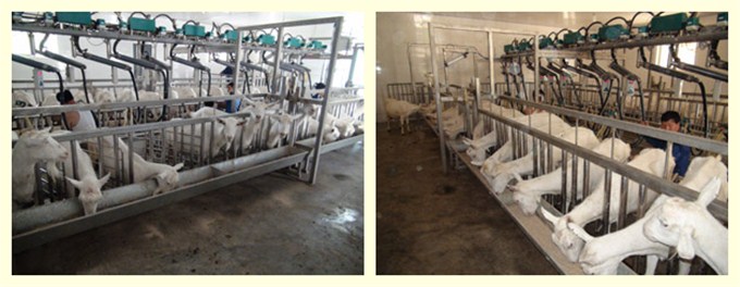 UG����(�й���)�ٷ���վ