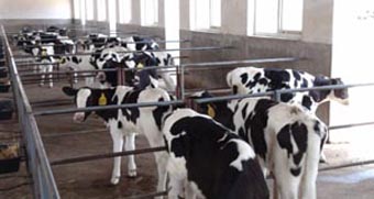 UG����(�й���)�ٷ���վ