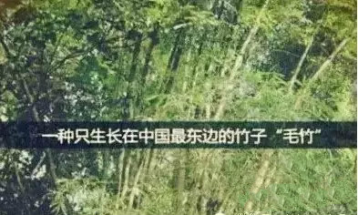 UG����(�й���)�ٷ���վ