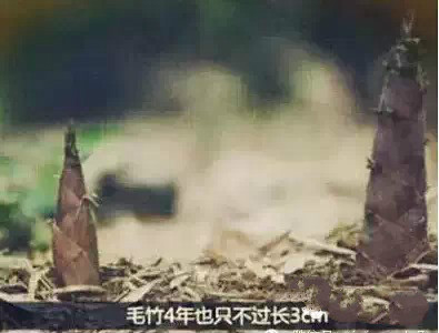 UG����(�й���)�ٷ���վ