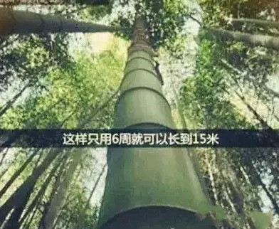 UG����(�й���)�ٷ���վ