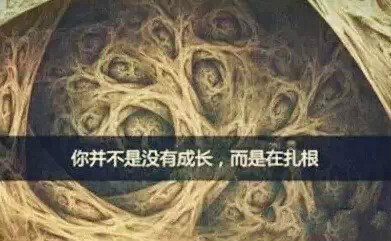 UG����(�й���)�ٷ���վ