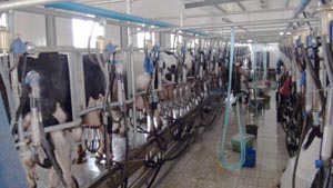 UG����(�й���)�ٷ���վ