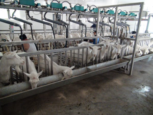 UG����(�й���)�ٷ���վ