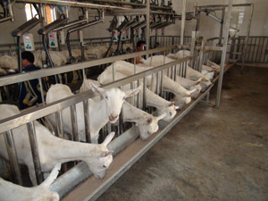 UG����(�й���)�ٷ���վ