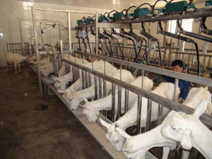 UG����(�й���)�ٷ���վ