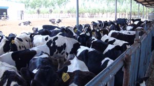 UG����(�й���)�ٷ���վ