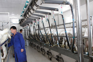 UG����(�й���)�ٷ���վ